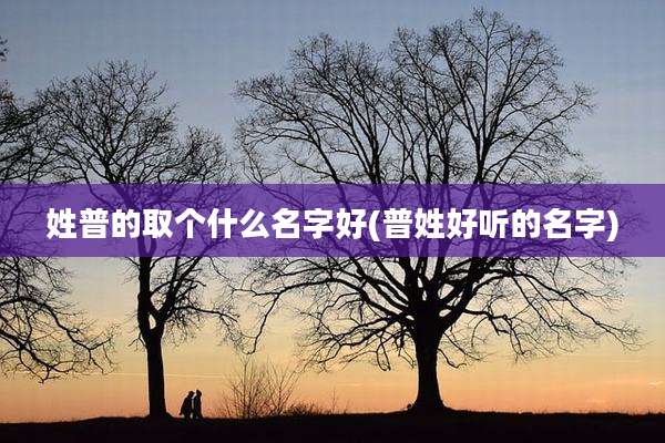 姓普的取个什么名字好(普姓好听的名字)