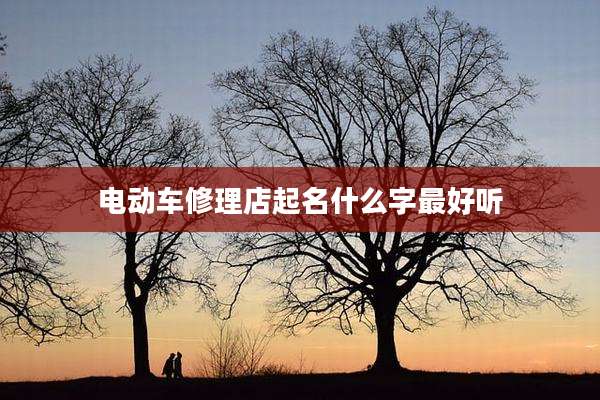 电动车修理店起名什么字最好听