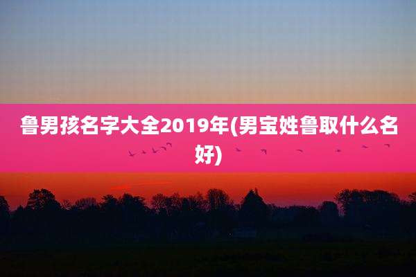鲁男孩名字大全2019年(男宝姓鲁取什么名好)