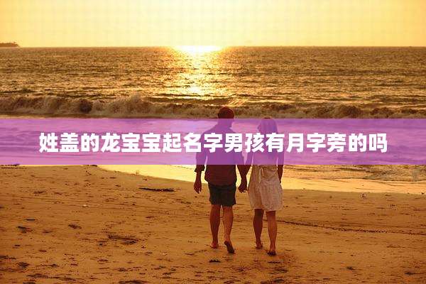 姓盖的龙宝宝起名字男孩有月字旁的吗