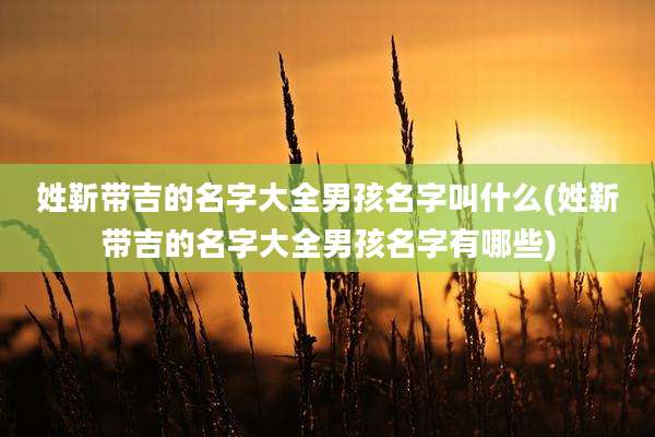 姓靳带吉的名字大全男孩名字叫什么(姓靳带吉的名字大全男孩名字有哪些)