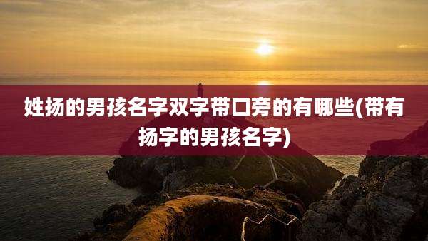 姓扬的男孩名字双字带口旁的有哪些(带有扬字的男孩名字)