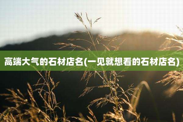 高端大气的石材店名(一见就想看的石材店名)