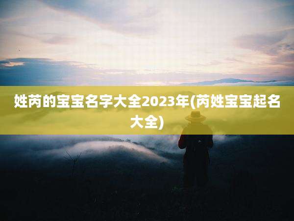 姓芮的宝宝名字大全2023年(芮姓宝宝起名大全)