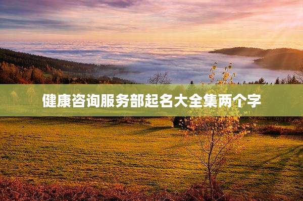 健康咨询服务部起名大全集两个字