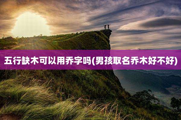 五行缺木可以用乔字吗(男孩取名乔木好不好)