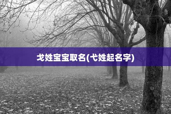戈姓宝宝取名(弋姓起名字)