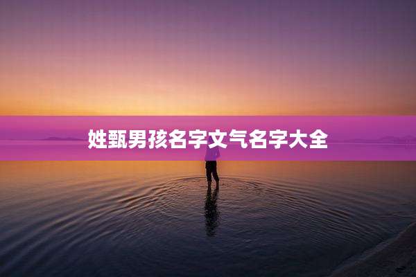姓甄男孩名字文气名字大全