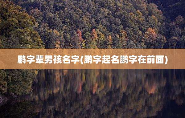 鹏字辈男孩名字(鹏字起名鹏字在前面)