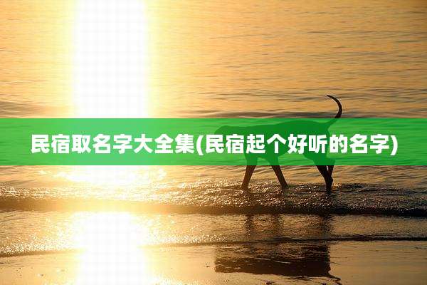 民宿取名字大全集(民宿起个好听的名字)