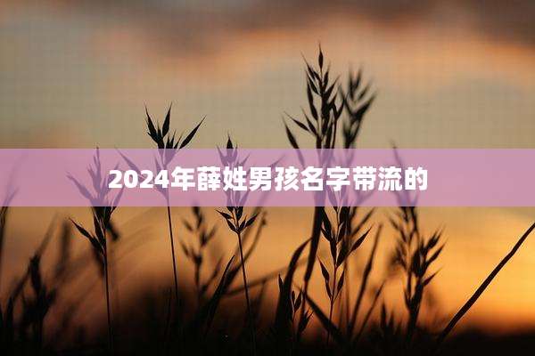 2024年薛姓男孩名字带流的