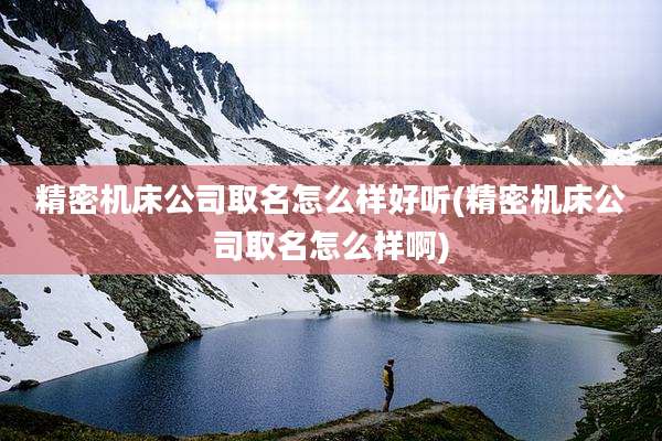 精密机床公司取名怎么样好听(精密机床公司取名怎么样啊)