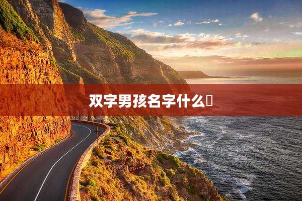 双字男孩名字什么莀