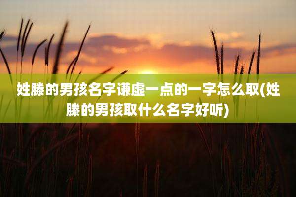 姓滕的男孩名字谦虚一点的一字怎么取(姓滕的男孩取什么名字好听)