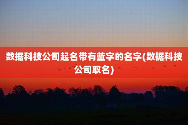 数据科技公司起名带有蓝字的名字(数据科技公司取名)