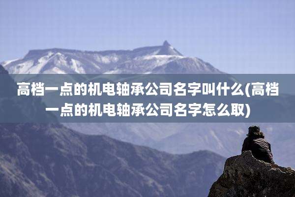 高档一点的机电轴承公司名字叫什么(高档一点的机电轴承公司名字怎么取)