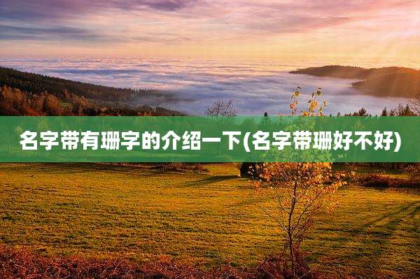 名字带有珊字的介绍一下(名字带珊好不好)