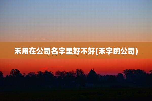 禾用在公司名字里好不好(禾字的公司)