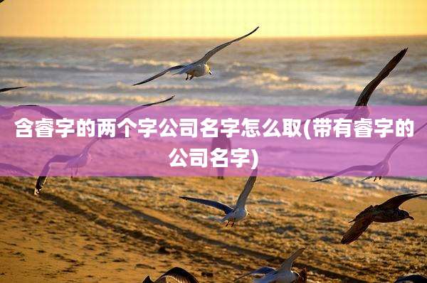 含睿字的两个字公司名字怎么取(带有睿字的公司名字)