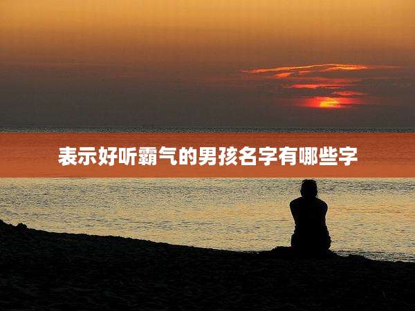 表示好听霸气的男孩名字有哪些字