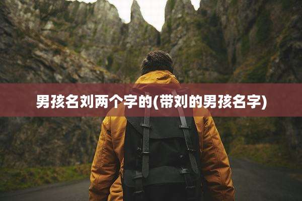 男孩名刘两个字的(带刘的男孩名字)