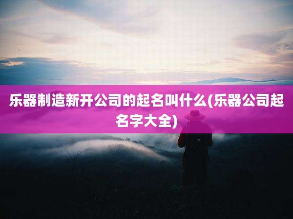 乐器制造新开公司的起名叫什么(乐器公司起名字大全)