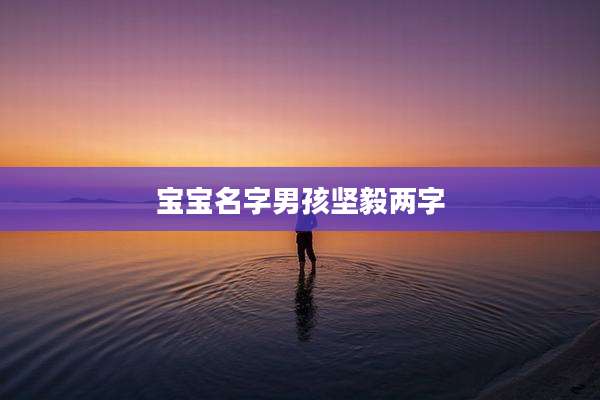 宝宝名字男孩坚毅两字