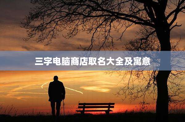 三字电脑商店取名大全及寓意