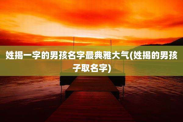 姓揭一字的男孩名字最典雅大气(姓揭的男孩子取名字)