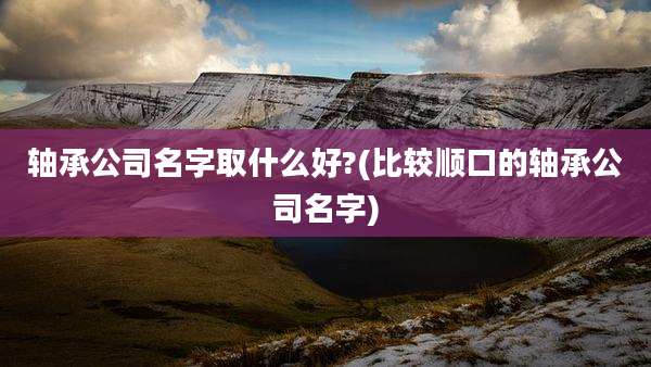轴承公司名字取什么好?(比较顺口的轴承公司名字)