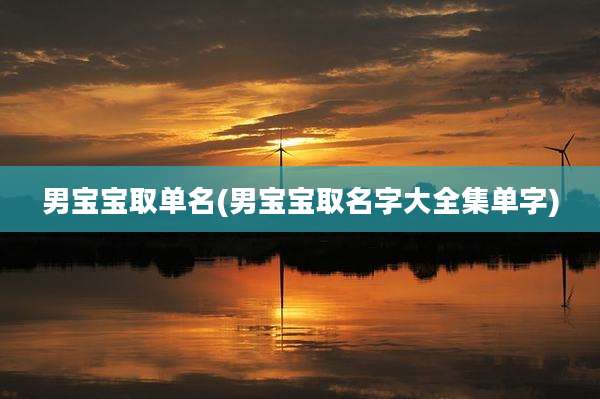 男宝宝取单名(男宝宝取名字大全集单字)