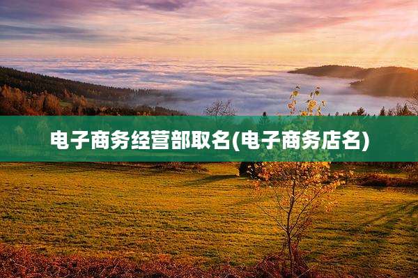电子商务经营部取名(电子商务店名)