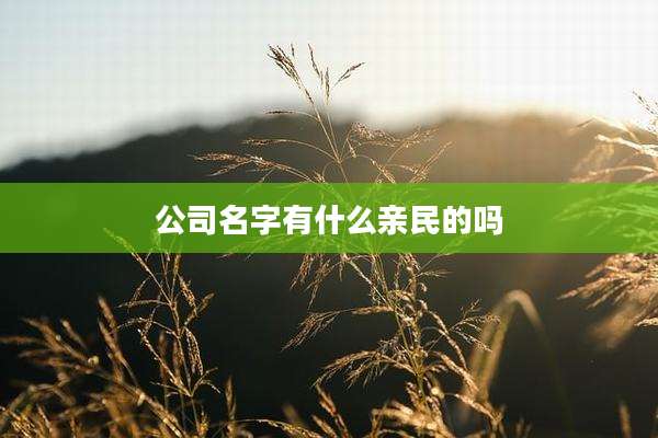 公司名字有什么亲民的吗