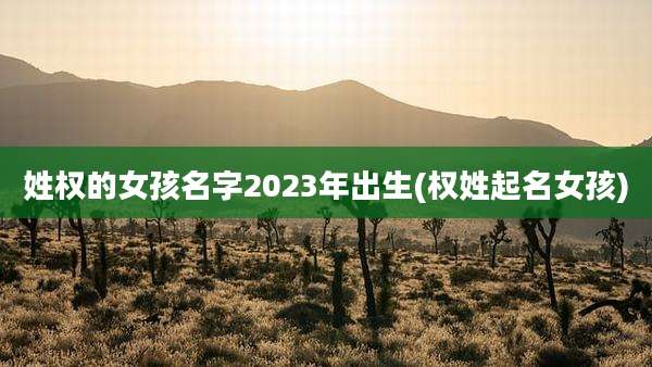 姓权的女孩名字2023年出生(权姓起名女孩)
