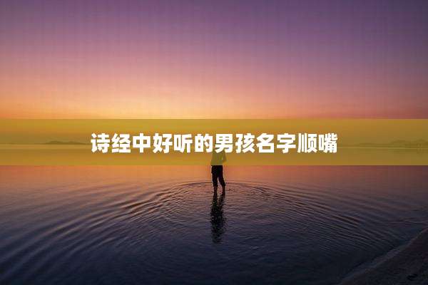 诗经中好听的男孩名字顺嘴