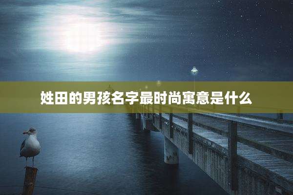 姓田的男孩名字最时尚寓意是什么