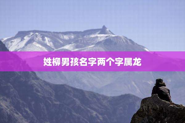 姓柳男孩名字两个字属龙