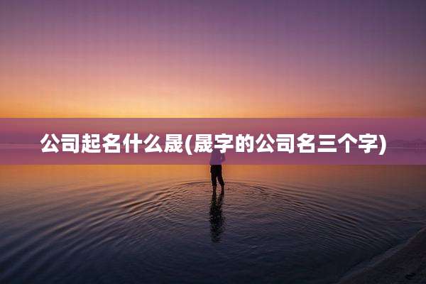 公司起名什么晟(晟字的公司名三个字)