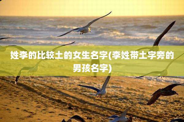 姓李的比较土的女生名字(李姓带土字旁的男孩名字)