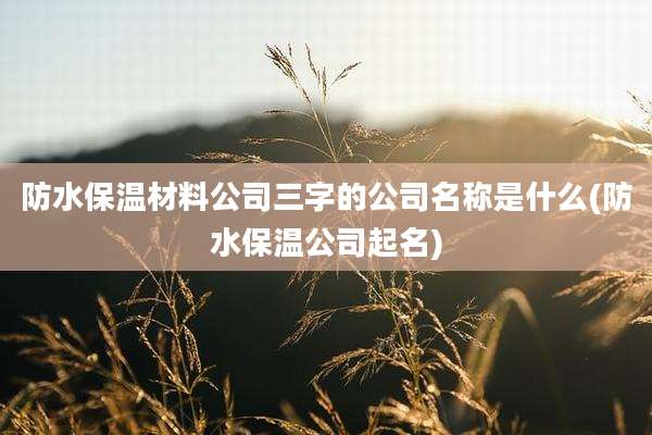 防水保温材料公司三字的公司名称是什么(防水保温公司起名)