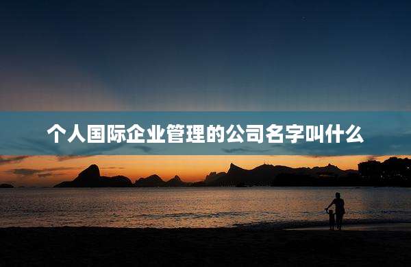 个人国际企业管理的公司名字叫什么