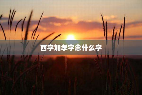 西字加孝字念什么字