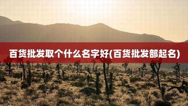 百货批发取个什么名字好(百货批发部起名)