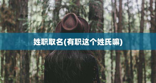 姓职取名(有职这个姓氏嘛)