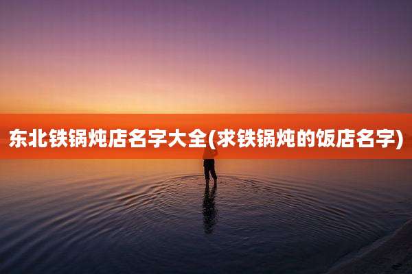 东北铁锅炖店名字大全(求铁锅炖的饭店名字)