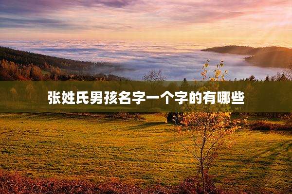 张姓氏男孩名字一个字的有哪些