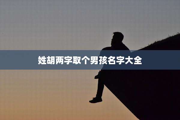 姓胡两字取个男孩名字大全