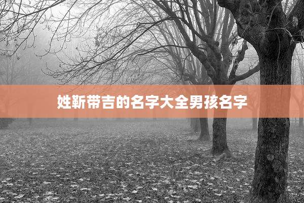 姓靳带吉的名字大全男孩名字