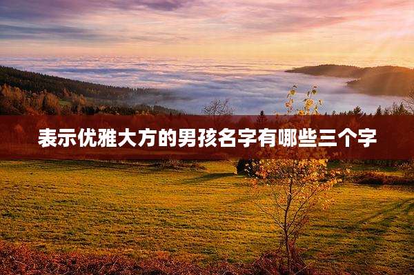 表示优雅大方的男孩名字有哪些三个字