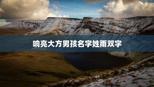 响亮大方男孩名字姓雨双字
